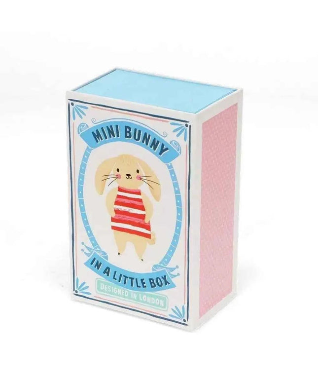 Mini Bunny In A Little Box