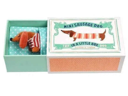 Mini Sausage Dog In A Little Box