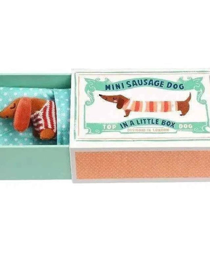 Mini Sausage Dog In A Little Box