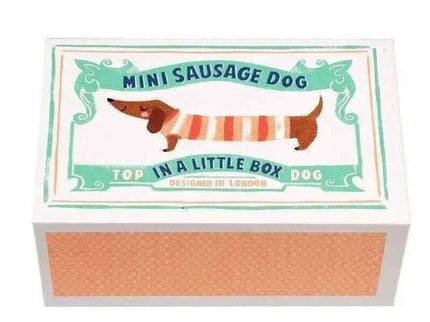 Mini Sausage Dog In A Little Box