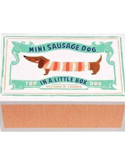 Mini Sausage Dog In A Little Box