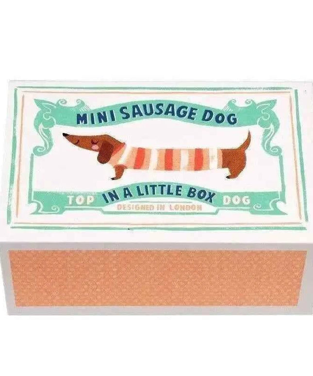 Mini Sausage Dog In A Little Box
