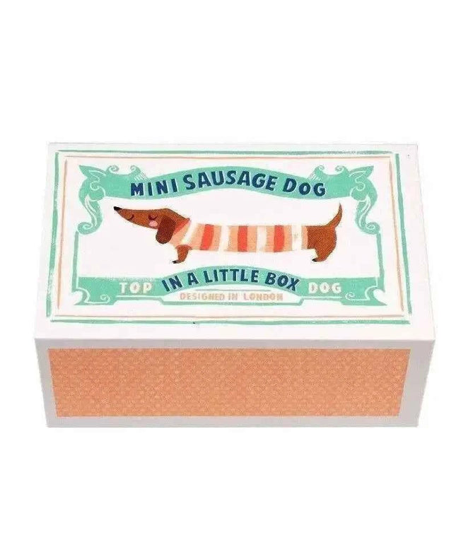 Mini Sausage Dog In A Little Box