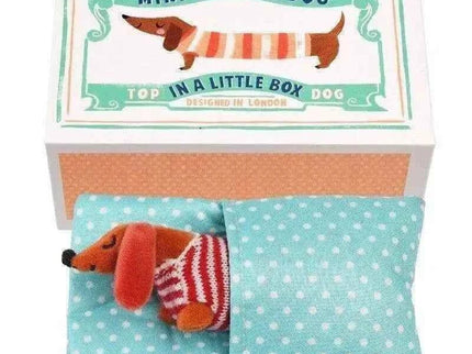 Mini Sausage Dog In A Little Box