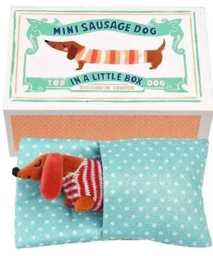 Mini Sausage Dog In A Little Box