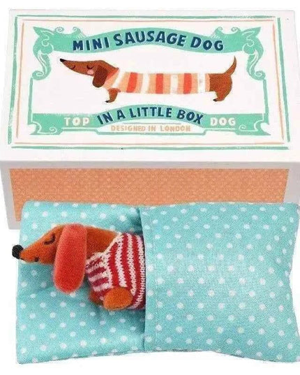 Mini Sausage Dog In A Little Box