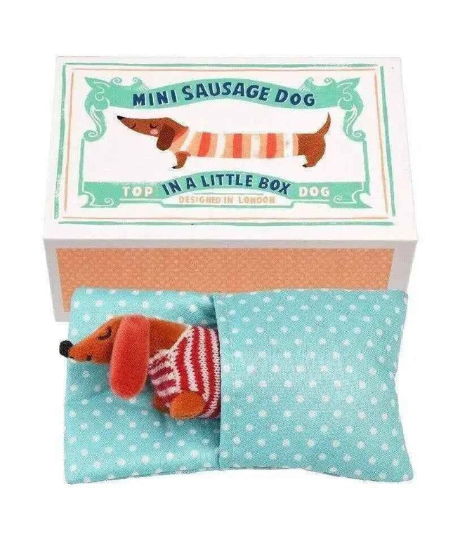 Mini Sausage Dog In A Little Box
