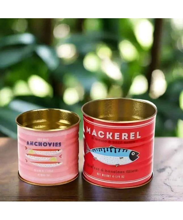 Mini Storage Tins (Set of 2) - Fish themed storage/display tins