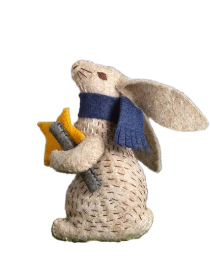 Prof Hare Stargazer Felt Craft Mini Kit