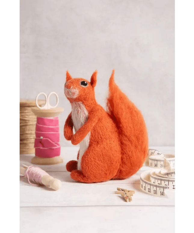 Red Squirrel Needle Felting Kit | Beginner Craft Kit
