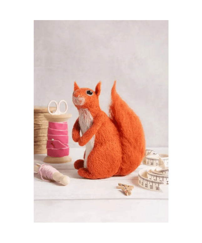 Red Squirrel Needle Felting Kit | Beginner Craft Kit