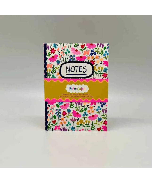 Set of 3 A6 notebooks - Paper Salad - Notes