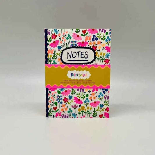 Set of 3 A6 notebooks - Paper Salad - Notes