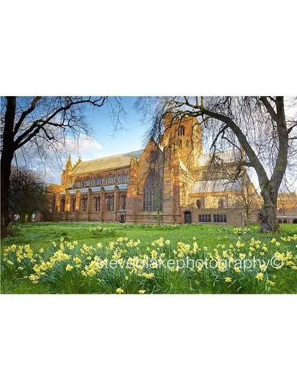 Steve Blake Photography Greetings Cards Carlisle Cathedral in Bloom