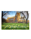 Carlisle-katedralen i blomst