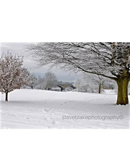 Steve Blake Photography Greetings Cards Eden Bridge at Winter