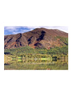 Bassenthwaite