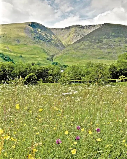 Steve Blake Photography Greetings Cards Blencathra