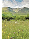 Blencathra
